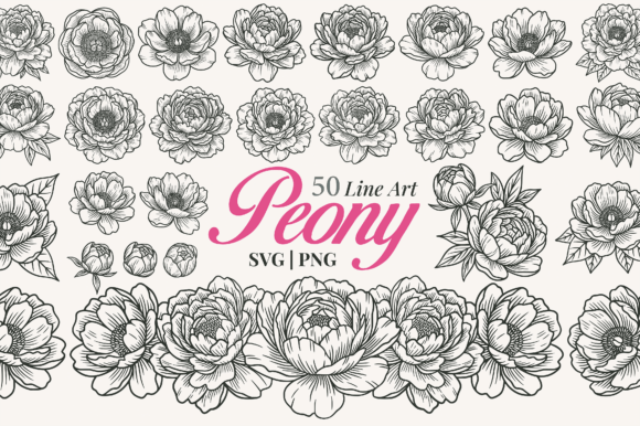 Download Peony Flower Line Art Clipart - Art Collection