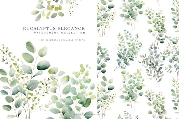 Download Watercolor Eucalyptus Clipart - Art Collection