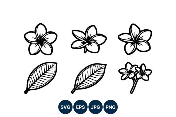 Download Plumeria Flower Line Art Vector Set - Art Collection