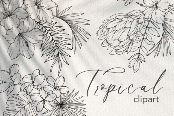 Download Tropical Flower LINE ART. Tropical Plant - Art Collection