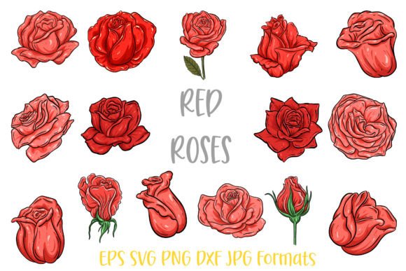 Download Red  Rose Flower Line Art Illustrations - Art Collection