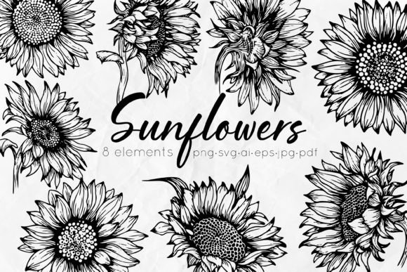 Download Sunflowers Line Art Illustrations - Art Collection