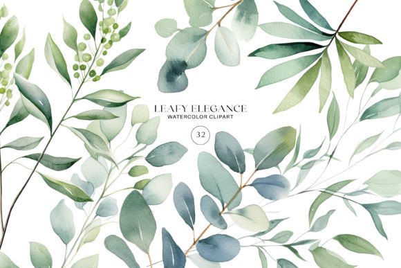 Download Watercolor Eucalyptus Leaf Clipart Set - Art Collection