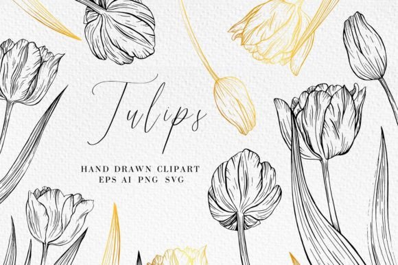 Download Tulip Line Art Illustrations - Art Collection