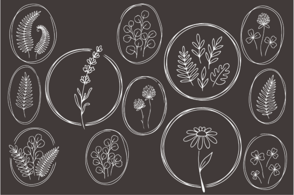 Download Botanical Floral Line Art Frames Bundle - Art Collection