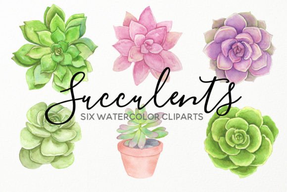Download Water Succulents Hand Painted Cliparts - Art Collection