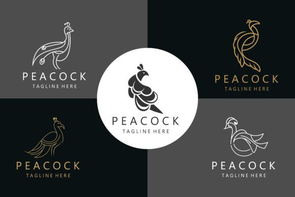 Download Peacock Logo with Line Art Concept - Art Collection