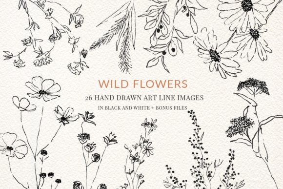 Download Wild Flowers Fine Line Clipart Hand Draw - Art Collection