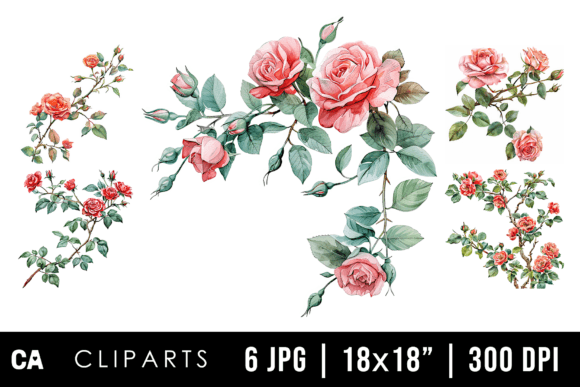 Download Watercolor Rose Flower Branch Cliparts - Art Collection