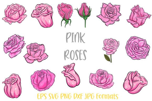 Download Pink Rose Flower Line Art Illustrations - Art Collection