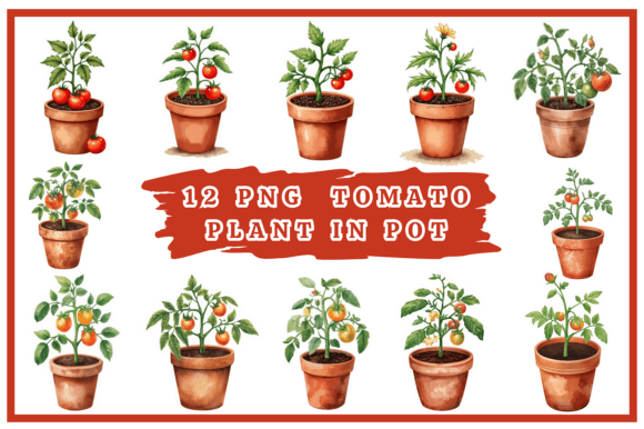 Download Tomatoes Watercolor Clipart Bundle #25 - Art Collection