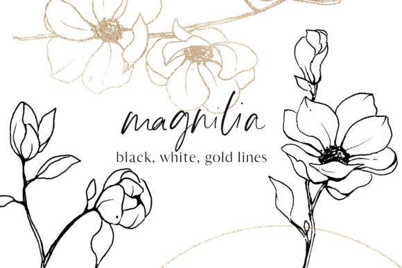 Download Flowers Magnolia Line Art Floral Set - Art Collection