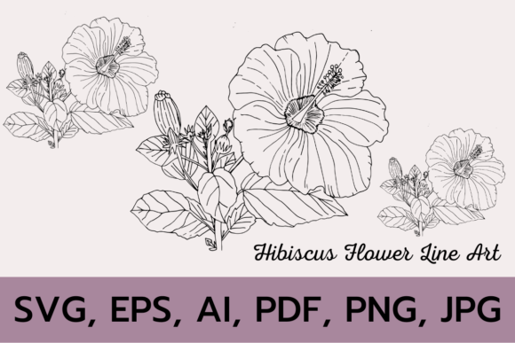 Download HIBISCUS FLOWER BRANCH LINE ART SVG - Art Collection