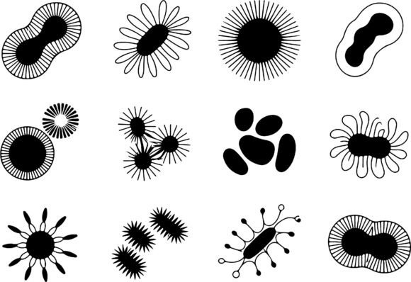 Download Abstract Organic Shapes Clipart Vector - Art Collection