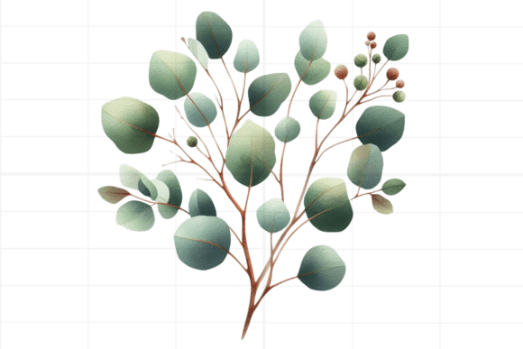 Download Eucalyptus Clipart. Watercolor Greenery - Art Collection